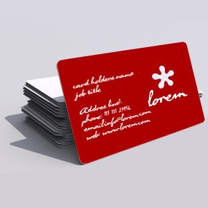 Plastic Slick Business Card 3.5x1.5 inch 